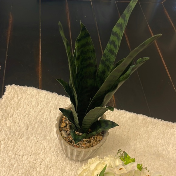 NWT Always Perfect Decor Artificial Snake Plant in Gray and White Pot - Picture 2 of 12